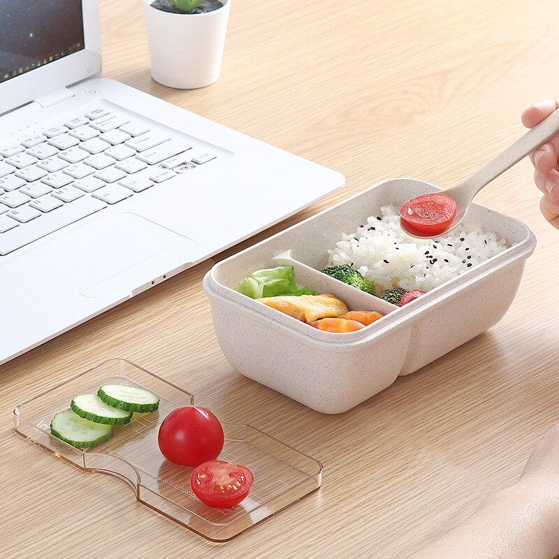 Thermo Lunchbox mit Fächern